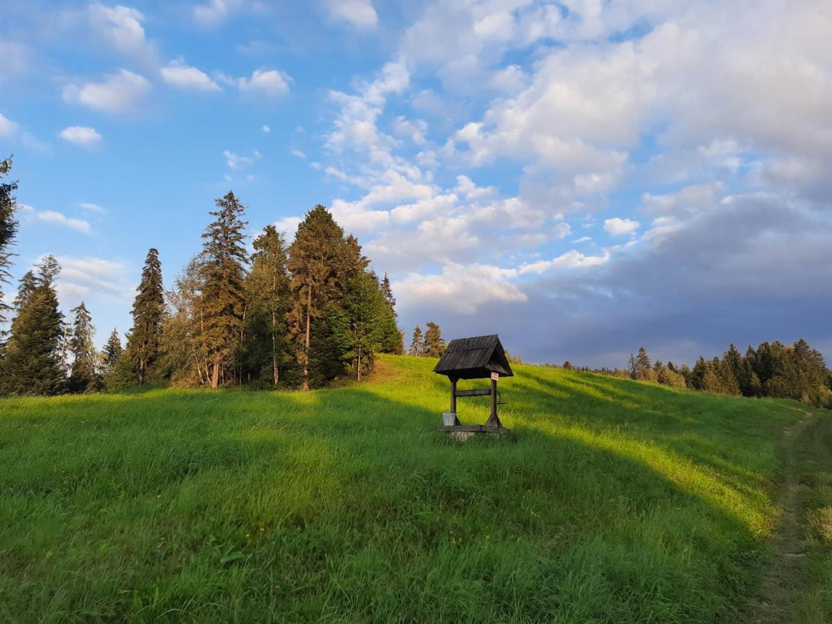 Domek Na Szlaku Rikardo Ponice Exteriér fotografie